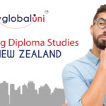 Study Diploma Course in New Zealand