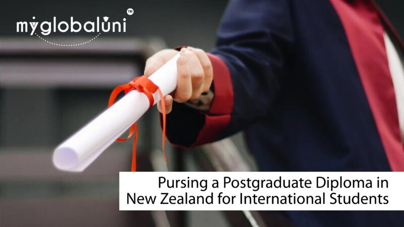 Pursuing a Postgraduate Diploma in New Zealand for International Students; Everything you need to know