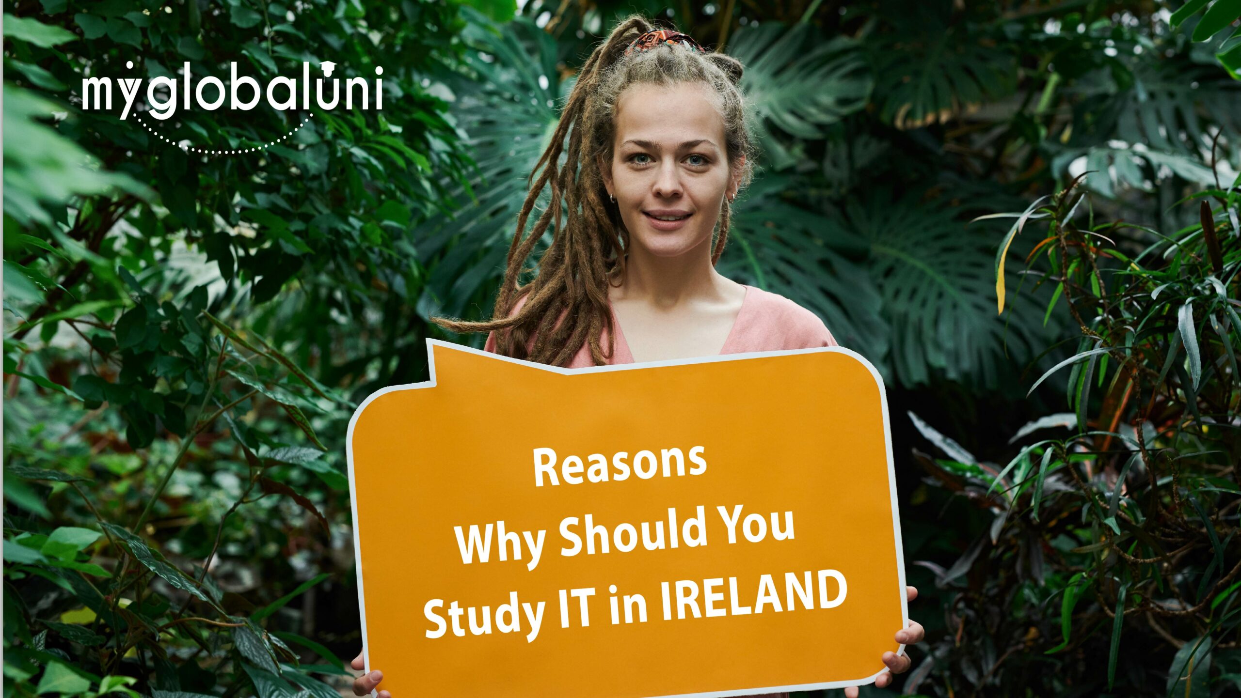 Reasons why should you study IT in Ireland