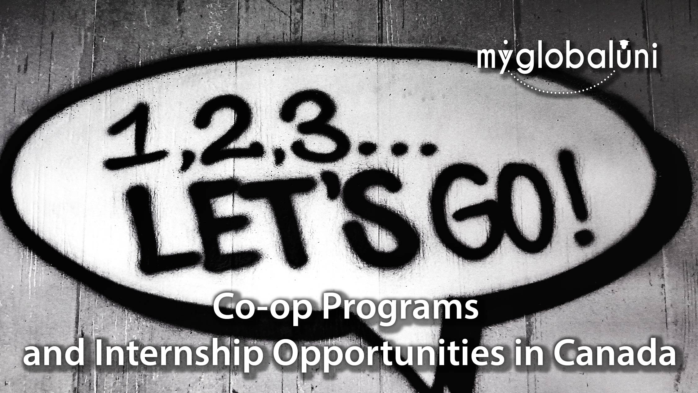 Co-op Programmes and Internship Opportunities in Canada